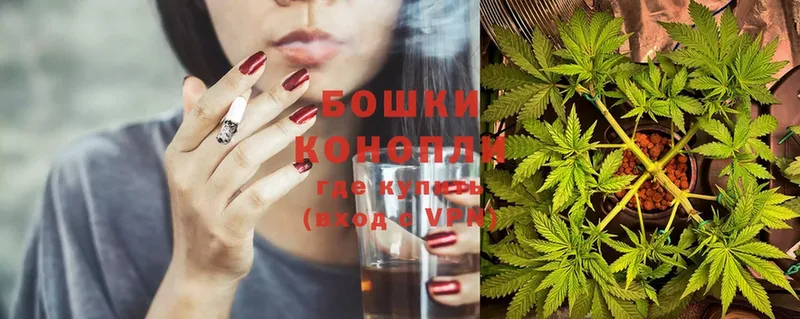 Шишки марихуана SATIVA & INDICA  где купить наркоту  Губкин 